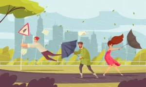 Lee más sobre el artículo Riesgo de movilidad o riesgo climático: lo que debes saber si existen.